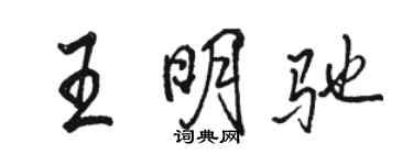 骆恒光王明驰行书个性签名怎么写
