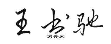 骆恒光王书驰行书个性签名怎么写
