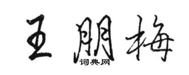 骆恒光王朋梅行书个性签名怎么写