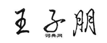 骆恒光王子朋行书个性签名怎么写