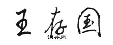 骆恒光王存国行书个性签名怎么写
