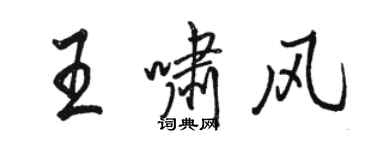 骆恒光王啸风行书个性签名怎么写