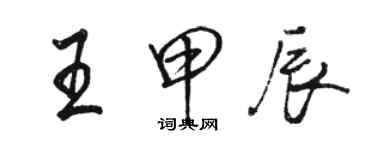 骆恒光王甲辰行书个性签名怎么写