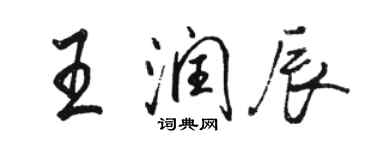 骆恒光王润辰行书个性签名怎么写