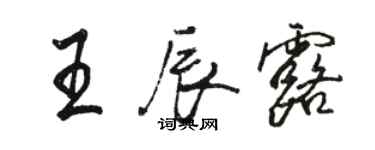 骆恒光王辰露行书个性签名怎么写