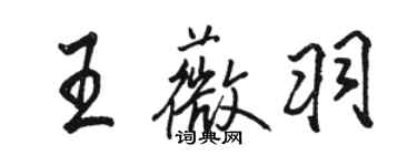 骆恒光王薇羽行书个性签名怎么写