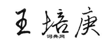 骆恒光王培庚行书个性签名怎么写