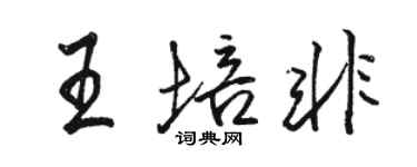 骆恒光王培非行书个性签名怎么写