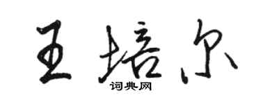 骆恒光王培尔行书个性签名怎么写