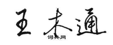 骆恒光王木通行书个性签名怎么写