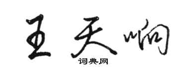 骆恒光王天响行书个性签名怎么写