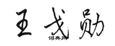 骆恒光王戈勋行书个性签名怎么写