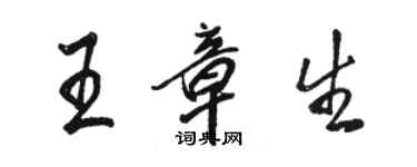 骆恒光王章生行书个性签名怎么写