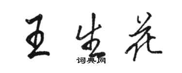 骆恒光王生花行书个性签名怎么写