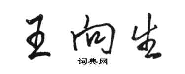 骆恒光王向生行书个性签名怎么写