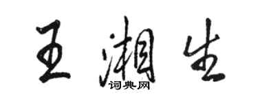 骆恒光王湘生行书个性签名怎么写