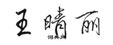 骆恒光王晴丽行书个性签名怎么写