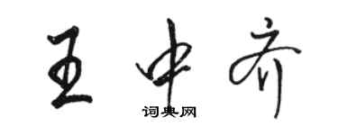 骆恒光王中齐行书个性签名怎么写