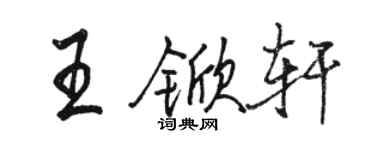 骆恒光王锨轩行书个性签名怎么写