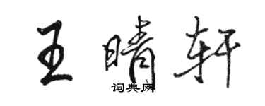 骆恒光王晴轩行书个性签名怎么写