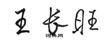 骆恒光王长旺行书个性签名怎么写
