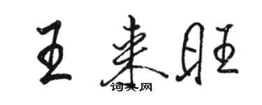 骆恒光王来旺行书个性签名怎么写