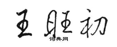 骆恒光王旺初行书个性签名怎么写