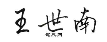 骆恒光王世南行书个性签名怎么写