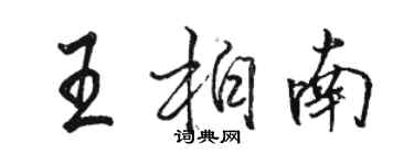 骆恒光王柏南行书个性签名怎么写