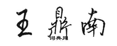 骆恒光王鼎南行书个性签名怎么写