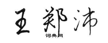 骆恒光王郑沛行书个性签名怎么写