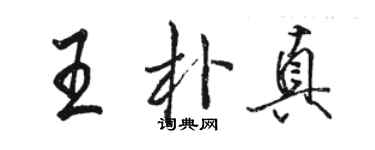 骆恒光王朴真行书个性签名怎么写