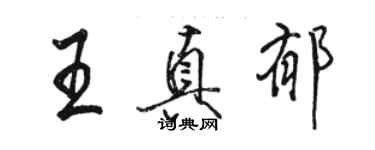 骆恒光王真郁行书个性签名怎么写
