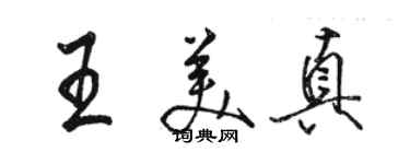 骆恒光王美真行书个性签名怎么写