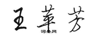 骆恒光王苹芳行书个性签名怎么写