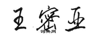 骆恒光王密亚行书个性签名怎么写