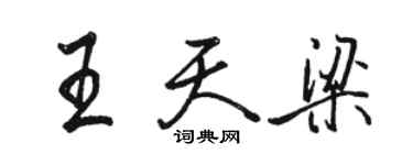 骆恒光王天梁行书个性签名怎么写