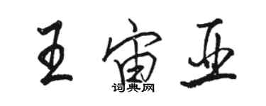骆恒光王宙亚行书个性签名怎么写