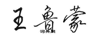 骆恒光王鲁蒙行书个性签名怎么写