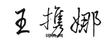 骆恒光王携娜行书个性签名怎么写
