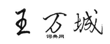 骆恒光王万城行书个性签名怎么写