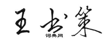 骆恒光王书策行书个性签名怎么写
