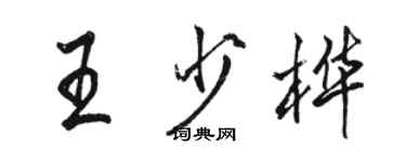 骆恒光王少桦行书个性签名怎么写