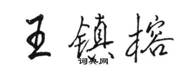骆恒光王镇榕行书个性签名怎么写