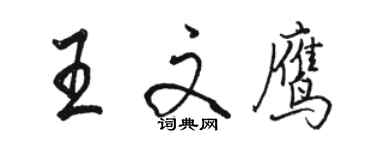 骆恒光王文鹰行书个性签名怎么写