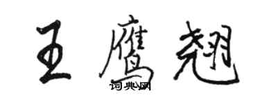 骆恒光王鹰翘行书个性签名怎么写