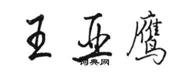 骆恒光王亚鹰行书个性签名怎么写