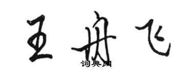 骆恒光王舟飞行书个性签名怎么写