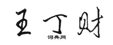 骆恒光王丁财行书个性签名怎么写