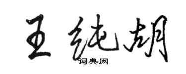 骆恒光王纯胡行书个性签名怎么写